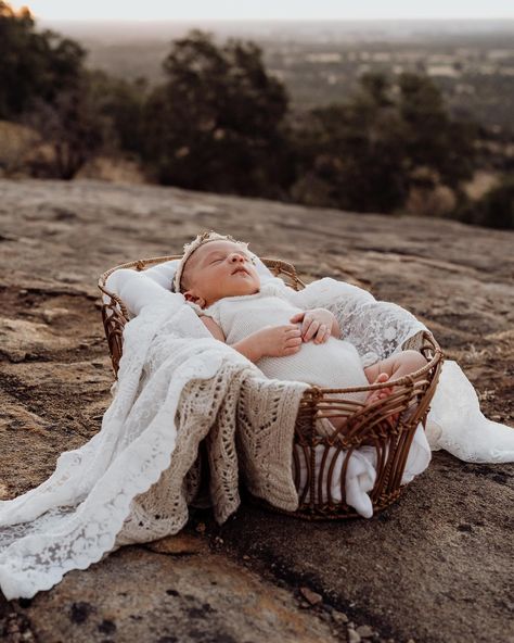 There’s something about babies in baskets😍 #perthnewbornphotographer #perthmums #perthbaby Newborn Moses Basket Photography, Newborn Moses Basket, Kid Picture, Baby Moses Basket, Inspo Pics, Moses Basket, Baby Pics, Newborn Family, April 27