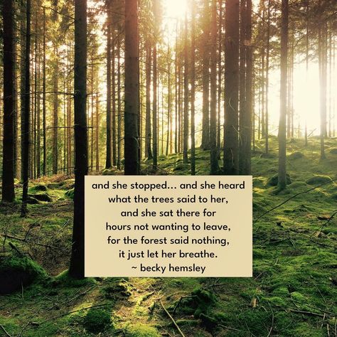 . and she stopped... and she heard what the trees said to her, and she sat there for hours not wanting to leave, for the forest said nothing, it just let her breathe. ~ Becky Hemsley Forest Therapy Quotes, Nature Walk Quote, Becky Hemsley, Tree Therapy, Forest Quotes, Forest Therapy, Tree Quotes, Therapy Quotes, Nature Quotes