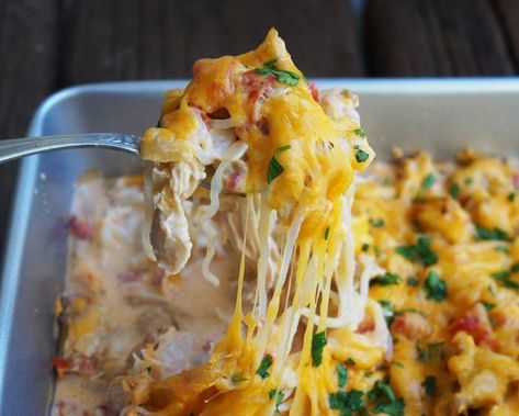 Keto Chicken Spaghetti Casserole | Miracle Noodle Keto Chicken Spaghetti, Konjac Noodles Recipes, Shirataki Rice Recipes, Shirataki Recipes, Miracle Noodles Recipe, Miracle Noodle, Chicken Spaghetti Casserole, Konjac Noodles, Katie Austin