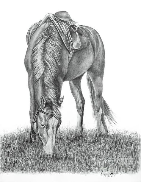 Horse Grazing, Dinosaur Sketch, Portrait Fine Art, Realistic Sketch, Horse Drawing, Graphite Drawings, Pencil Art Drawings, Beautiful Drawings, Art Hand