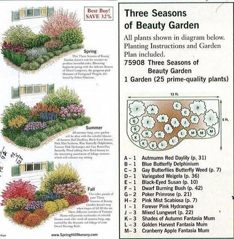 Cottage Garden Plan, Perennial Garden Plans, Funny Vine, Country Cottage Garden, Flower Garden Plans, Spring Hill Nursery, Garden Plan, Desain Lanskap, Cottage Garden Design