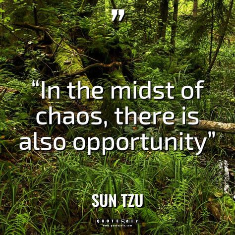 “In the midst of chaos, there is also opportunity” Experience Quotes, Ayn Rand, Sun Tzu, Ernest Hemingway, Steve Jobs, Business Quotes, Morning Quotes, Positive Vibes, Best Quotes