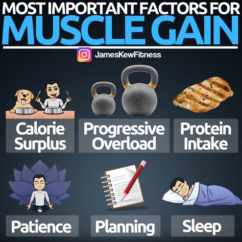 1. Calorie surplus⁣⁣​​​​​​​​ ⁣⁣​​​​​​​​ Eating more calories than you burn is crucial to maximising muscle gain. Whilst newbie lifters can gain muscle in a deficit, the rate of gain is far slower than it would be in a surplus.⁣⁣​​​​​​​​ ⁣⁣​​​​​​​​ 2. Progressive overload⁣⁣​​​​​​​​ ⁣⁣​​​​​​​​ Truly, this is the most important factor of all. If you're not getting stronger then most likley you're not gaining muscle. The whole point of being in a calorie surplus is to facilitate faster progressiv... Calorie Surplus, Workout Template, Gym Nutrition, Bodybuilding Program, Ny Life, Abs Fast, Abs Training, Fast Abs, Natural Bodybuilding