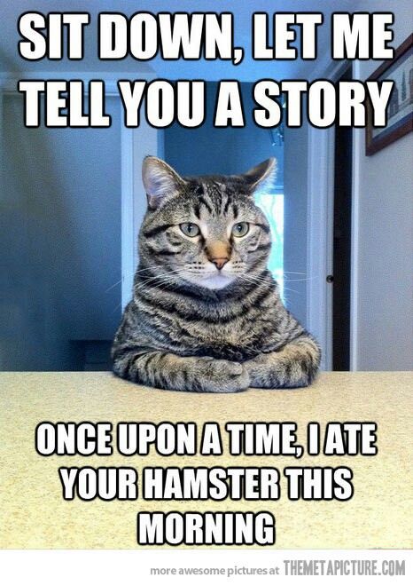 Once upon a time I ate your hamster this morning. Humor Animal, Cat Shaming, Koci Humor, A Hamster, Silly Animals, Cat Quotes, E Card, Zulu, Animal Quotes