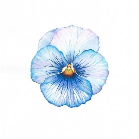 Pansy Tattoo, Blue Pansy, Watercolour Inspiration, Watercolor Flower Art, Rib Tattoo, Watercolor Inspiration, Water Painting, Daily Paintworks, Watercolor Techniques