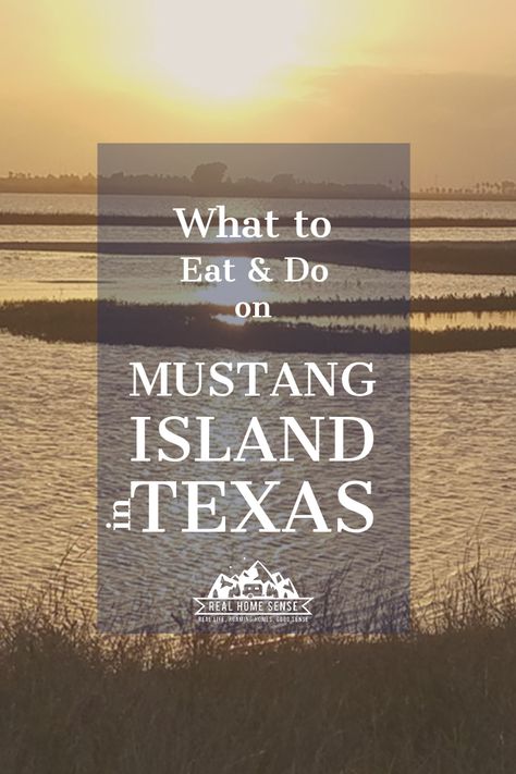 Mustang Island State Park, Mustang Island Texas, Camping Texas, Texas Beach Vacation, Texas Travel Weekend Getaways, Vacation Places In Usa, Home Sense, Port Aransas Beach, Padre Island Texas