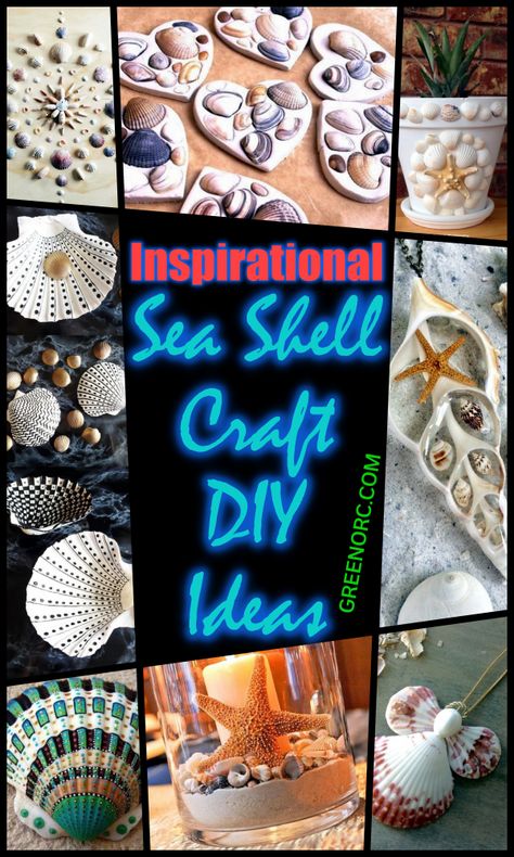 45 Inspirational Sea Shell Craft DIY Ideas - Greenorc Crafting With Shells, Decorated Seashells, Decorated Shells, Seashells Decor, Seashell Diy, Craft Diy Ideas, Beach Crafts Diy, Shell Animals, Sea Shells Diy