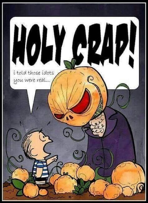 Sally Brown Peanuts, Pumpkin Meme, Linus Van Pelt, Funny Banner, Halloween Pics, Halloween Humor, Halloween Jokes, Charlie Brown Halloween, Snoopy Comics