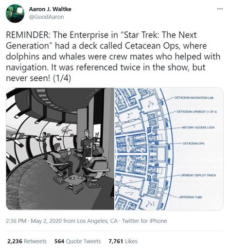 Whales/Dolphins Aboard the Enterprise in Star Trek: TNG - Media Chomp Uss Enterprise Ncc 1701, Star Trek Tng, Enterprise Ncc 1701, Star Trek Enterprise, Uss Enterprise, Comics Memes, Whales, Tweet Quotes, Star Trek