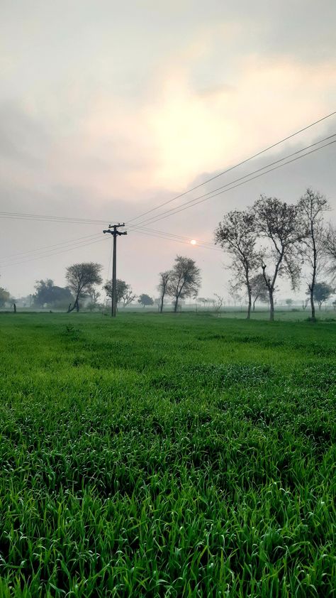 Village Morning Photography, Rainy Village, Village Morning, Henna Easy, India Aesthetic, Cloudy Morning, Morning Photography, Weather Cloud, Village Photos