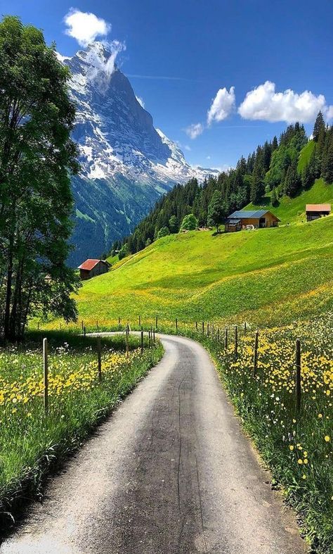 Beautiful Angels, Angels Pictures, Landscape Photography Nature, Dirt Road, Beautiful Scenery Nature, Alam Yang Indah, Pool Landscaping, Country Road, Driveway