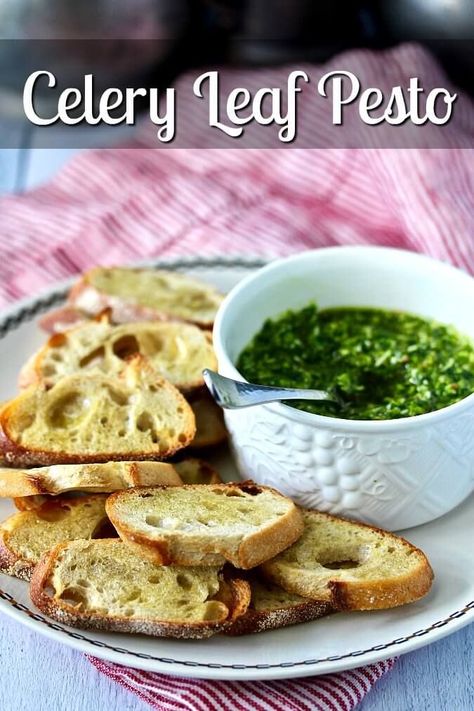 Celery leaf pesto with parsley, garlic, toasted pine nuts, and Parmigiano-Reggiano, lemon juice, with toasted crostini. Celery Leaf Pesto, Celery Leaves Recipe, Celery Pesto, Celery Leaves, Recipes Sauces, Pesto Recipes, Toasted Crostini, Celery Recipes, Keto Appetizers