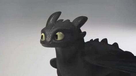 Toothless Funny, Toothless Gif, Httyd Gif, Eyes In The Dark, Harry Potter Shifting, Cute Little Doodles, Dragon Gif, Disney Cartoon Movies, Harry Potter Au