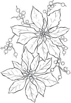 Fruit Coloring Pages, Graphics Fairy, Poinsettia Flower, Embroidery Flowers Pattern, Flower Coloring Pages, Christmas Flowers, Outline Drawings, Christmas Coloring Pages, Christmas Paintings