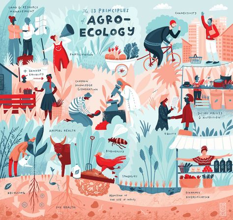 The 13 Principles of Agroecology :: Behance Agroecology Illustration, Perma Garden, Soil Health, Find Work, Urban Farming, Annual Report, Pet Health, Freelancing Jobs, Ecology