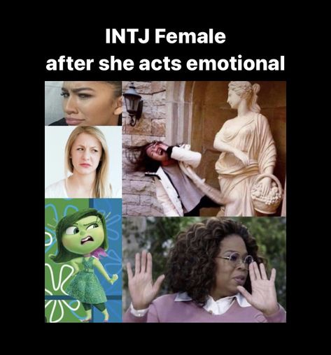 Intj Female, Istp Entj, Enfp Infp, Infp Infj, Infj Estp, Intj Characters, Intj Humor, Entp Intj, Intj Enfp