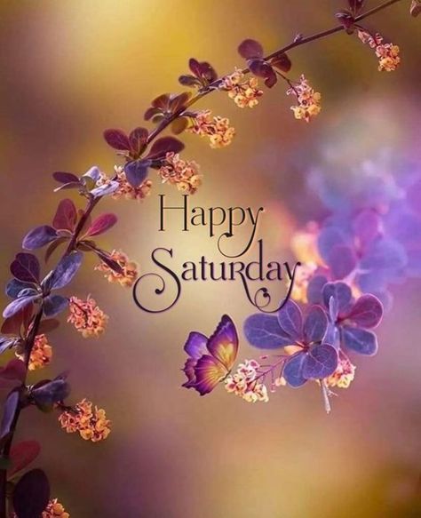 Saturday Wallpaper, Saturday Morning Greetings, Happy Saturday Pictures, Good Morning Saturday Images, Happy Saturday Quotes, Saturday Morning Quotes, Saturday Pictures, Happy Saturday Images, Happy Saturday Morning