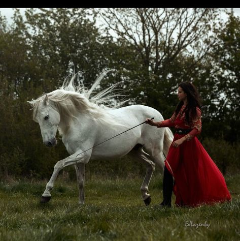 Liberty Work With Horses, Aesthetic Equestrian Photos, Horse Liberty, Liberty Horse, Horse Disciplines, Liberty Horse Training, Woman With Horse Photography, Liberty Horse Photography, Farm Aesthetic