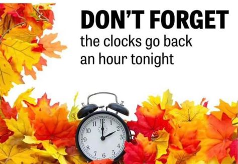 Fall Back Time Change, Fall Back Time, Mission Quotes, Clocks Go Back, Time Change, Clocks Back, Spring Forward, Daylight Savings, Daylight Savings Time