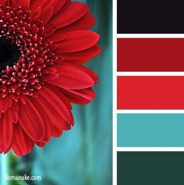 Excellent Totally Free Color Schemes red Tips Most of us view the basic principles with the colour rim: from key and also extra colours so that yo #Color #Excellent #Free #red #Schemes #Tips #Totally Teal Color Palette, Colors Schemes, Red Colour Palette, Color Schemes Colour Palettes, Bedroom Color Schemes, Color Palette Design, Color Balance, Red And Teal, Color Wheel