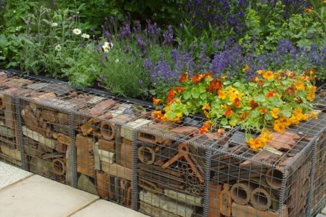 Retaining Wall Construction, Gabion Retaining Wall, Garden Retaining Wall, Gabion Baskets, Recycled Brick, Bug Hotel, Gabion Wall, Insect Hotel, Sun Garden