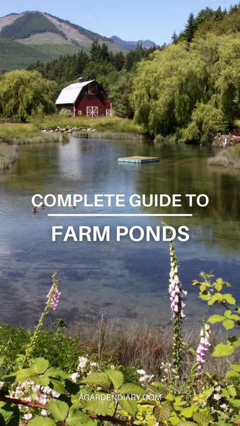 Elevate your farming operation with our definitive guide to farm ponds. Explore the benefits of a well-designed pond, from irrigation and livestock hydration to habitat creation and aesthetic appeal. Our guide walks you through each step, offering expert tips on construction, maintenance, and ecological balance. Transform your farm into a thriving ecosystem with our comprehensive resource on farm ponds. Start your journey to a more efficient and beautiful farm today! Pond Overflow Ideas, How To Make A Pond, Farm Pond Ideas, Large Pond Ideas, Farm Pond Landscaping, Small Pond Ideas, Fish Farming Ponds, Compound Living, Farm Ponds