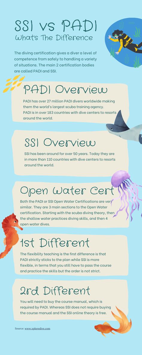 SSI or PADI, are you wondering what is the difference between there scuba #diving certifications? Padi Certification, Biochemical Engineering, Scuba Certification, Padi Diving, Scuba Diving Certification, Scuba Diving Courses, Diving Wetsuits, Diving Scuba, Scuba Diving Photography