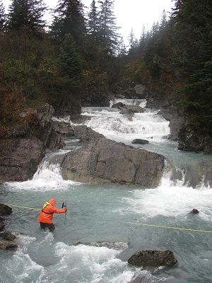 Environmental Career Aesthetic, Hydrology Aesthetic, Environmental Scientist, Wildlife Biologist, Environmental Engineering, Environmental Studies, Water Resources, Environmental Science, Dream Board