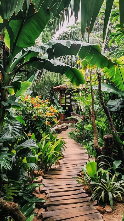 Free Tropical Garden Pathway Image | Download at StockCake Modern Tropical Garden, Tropical Gardening, Plant Walls, Balinese Garden, Tropical Landscape Design, Coastal Garden, Tropical Garden Design, House Pictures, Tropical Landscape