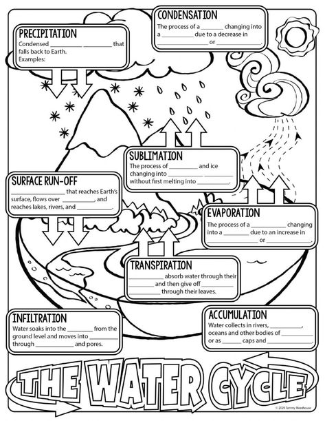 Water Cycle Worksheet Pdf the Water Cycle Notes Interactive Worksheet Water Cycle Worksheet, Earth Science Lessons, Kids Worksheet, The Water Cycle, Homeschool Worksheets, 4th Grade Science, 6th Grade Science, Homeschool Education, 5th Grade Science