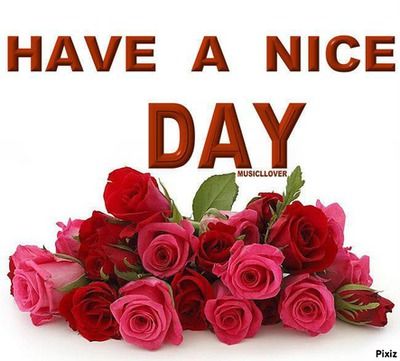 have a nice day Good Day Images, Good Morning Wishes Friends, Good Morning Sunday Images, Photos Of Good Night, Good Morning Wishes Gif, Quotes Dream, Good Night Flowers, Good Morning Roses, Happy Birthday Wishes Cards