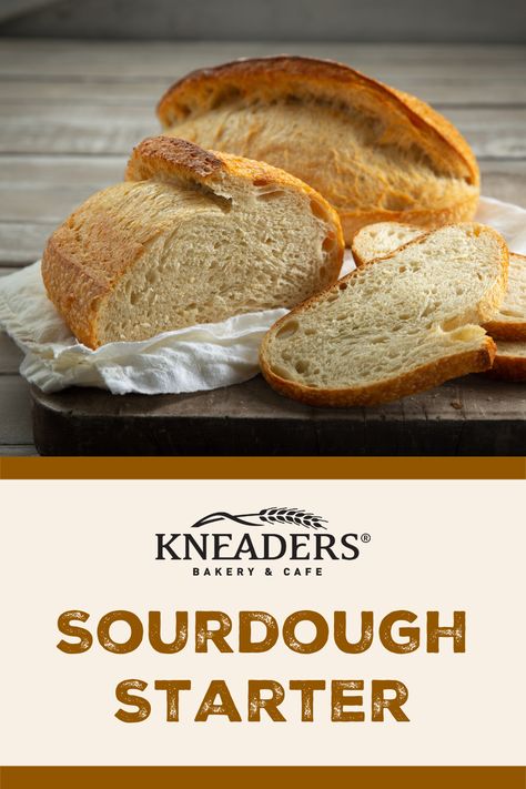 Kneaders Sourdough Starter Kneaders Bread Recipes, Kneaders Recipes, Bread Calories, Bread Ingredients, Sourdough Bread Recipe, Bakery Cafe, Bread Machine, Sourdough Recipes, Sourdough Starter