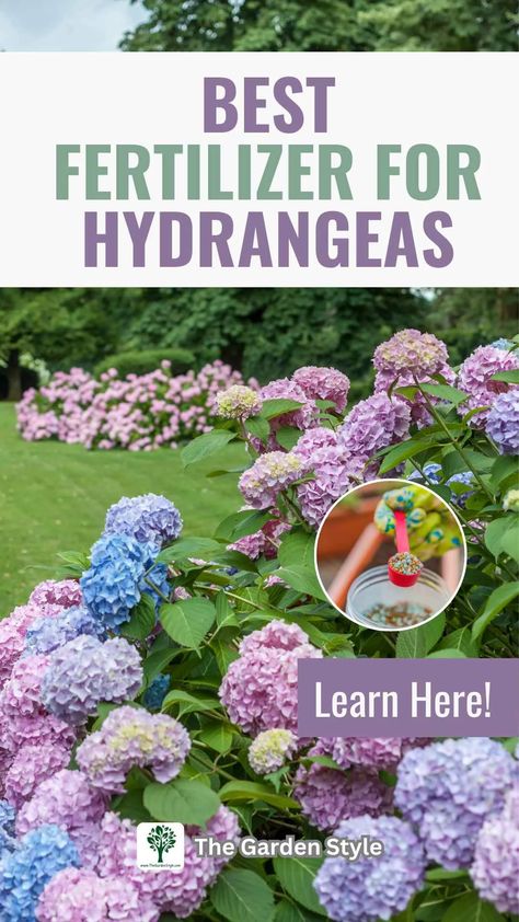 Fertilizer for Hydrangeas: How and When to Fertilize - The Garden Style How To Fertilize Hydrangeas, Fertilizer For Hydrangeas, Hydrangea Fertilizer, Hydrangea Plant Care, Diy Fertilizer, Hydrangea Plant, Game And Watch, Hydrangea Landscaping, Shade Gardening