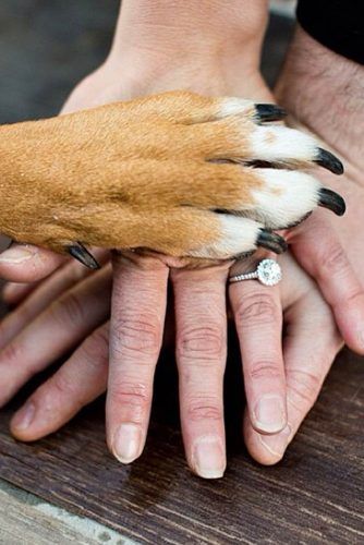 From Cute To Fun And#8211; Top 36 Engagement Photo Ideas ★ 4 Wheeler Engagement Pictures, Engagement Photo Announcement, Cozy Engagement Photos, Pre Shoot, Engagement Announcement Photos, Creative Engagement Photo, Engagement Humor, Fall Engagement Pictures, Engagement Photography Poses