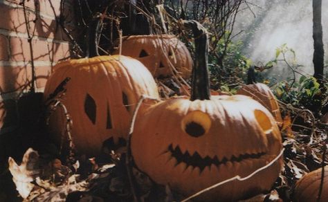 Halloween Aesthetic, Pumpkins, Trees, Halloween