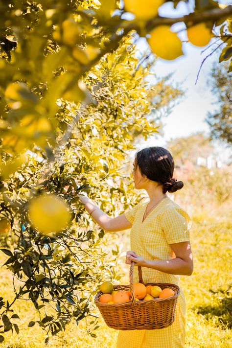 Orange Tree Photoshoot, Lemon Tree Photography, Yellow Cottagecore Aesthetic, Lemon Tree Aesthetic, Cottagecore Aesthetic Photoshoot, Orange Tree Aesthetic, Sonia Core, Lemon Photoshoot, Lemon Basket