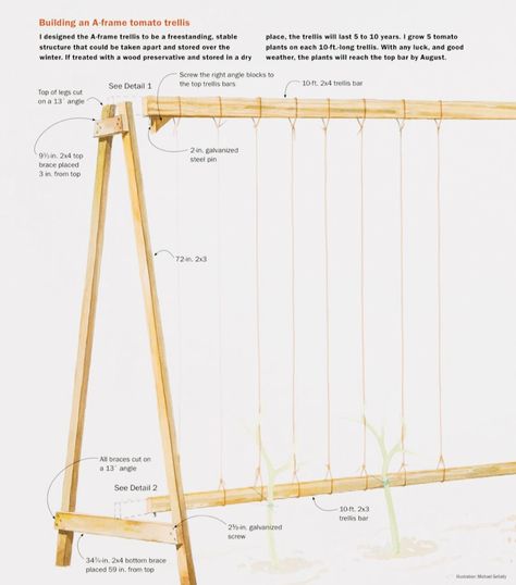 Bean Trellis, Tomato Trellis, Diy Garden Trellis, Metal Trellis, Garden Veggies, Garden Types, Veg Garden, Tomato Garden, Vegetable Garden Design