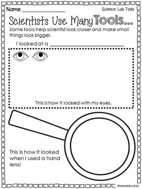 Science Lab Rules, Science Lab Tools, What Do Scientists Do, Health Science Classroom, Lab Rules, Science Lab Safety, Scientific Inquiry, Safety Tools, Science Centers