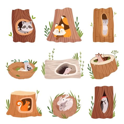 Tree Trunk Illustration, Trunk Illustration, Squirrel Vector, Tree Hollow, Tree Hole, Vector Characters, Hollow Tree, Tree Home, Nocturnal Animals