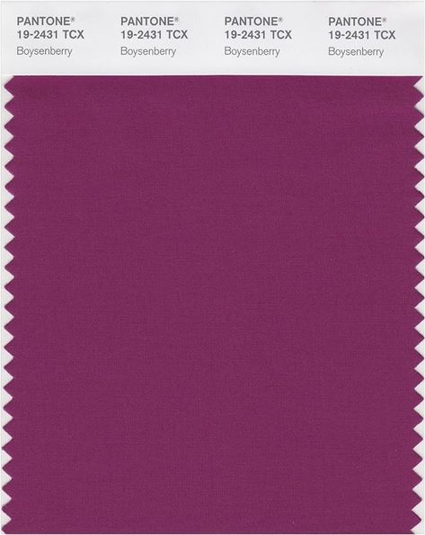 PANTONE Smart 19-2431X Color Swatch Card, Boysenberry - House Paint - Amazon.com House Paint, Color Swatch, House Painting, Paint, Color