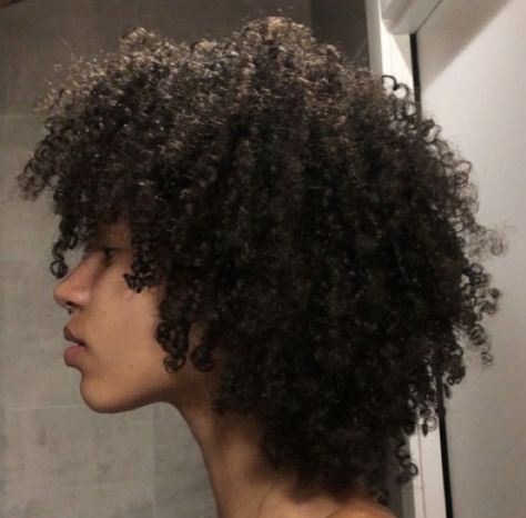 Curly Afro Black Man, Short Curly Haircuts For Men, Curly Afro Men, Black Curly Mullet, Short 3c Hair, Curly Hair Male, Short Haircuts Curly Hair, Dark Brown Curly Hair, Curly Wolfcut