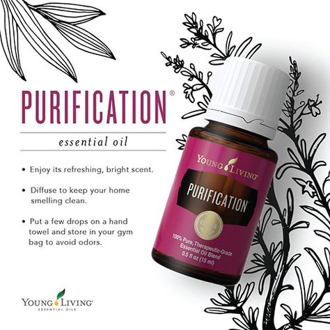 Purification Essential Oil Young Living, Young Living Purification, Purification Essential Oil, Tiny Bottles, Essential Oil Brands, Oils For Health, Essential Oils Young Living, Adolescent Health, Young Living Essential Oils Recipes