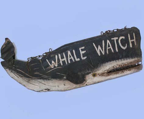 Dark Nautical Aesthetic, Whale Sign, Laughing Animals, Hunting Signs, Plastic Beach, Nautical Aesthetic, Nautical Chic, Nautical Painting, Antiques Roadshow