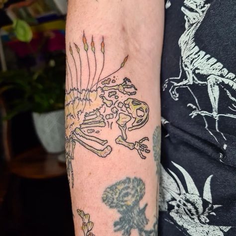 ✨️🌱🪰🌿🐸🍂✨️ Kip came to me with the idea of continuing the theme of the deceased sparrow on their lower arm (by me, 2 months healed in these photos), into a decomposing/carnivorous plant half sleeve. This is the first session, which added in a pitcher plant, cape sundew, and english sundew growing on a moss-covered toad skeleton. They wanted a limited colour palette, so we chose sage green and a soft orange. Very happy with this project and the outcome, and I can't wait to show you the r... Pitcher Plant Tattoo, Toad Skeleton, Cape Sundew, Moss Covered, Plant Tattoo, Pitcher Plant, Soft Orange, Carnivorous Plants, 2 Months