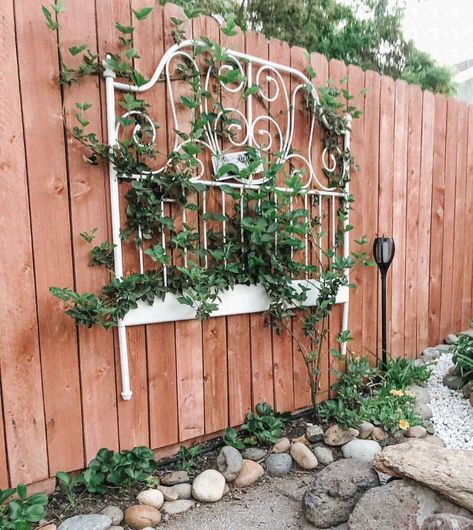 Garden Christmas Lights, Old Garden Gates, Vining Plants, Rusty Garden, Vintage Garden Decor, Garden Christmas, Garden Yard Ideas, Climbing Roses, Garden Trellis