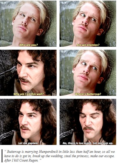 The Princess Bride Inigo Montoya, Princess Bride Behind The Scenes, Princess Bride Promposal, The Princess Bride Funny, The Princess Bride Tumblr, The Princess Bride Edits, The Princess Bride Art, Princess Bride Edits, Princess Bride Fanart