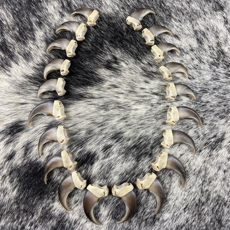 Cone Shell, Bear Claw, Bear Claws, Medicine Wheel, Turtle Shell, Silver Caps, Fur Blanket, Jewelry Choker, Natural Elements