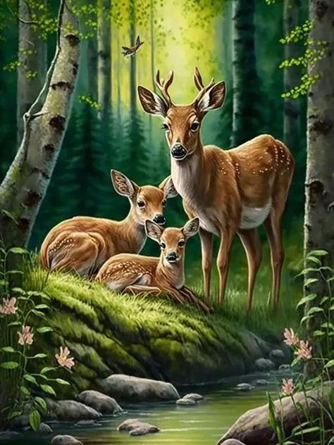 5D DIY Colorful Animal Diamond Painting Landscape Deer Waterfall Cross Embroidery Handmade DIY Mosaic Art Furniture Decoration - AliExpress Drawing Borders, Deer Drawing, Cute Animal Illustration, Book Art Diy, Pretty Animals, Colorful Animals, Beautiful Landscape Wallpaper, Night Painting, Arte Animal