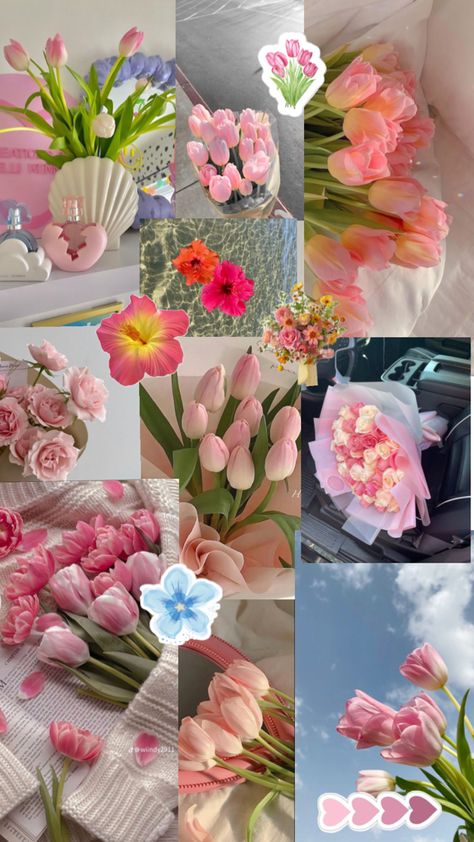 Pink Tumblr Aesthetic, Floral Wallpaper Iphone, Flower Collage, Hits Different, Pretty Landscapes, Nature View, Song Lyrics Wallpaper, Kawaii Wallpaper, Pretty Pastel