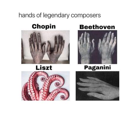 Classical Music Humor, Musician Jokes, Musical Jokes, Classical Sheet Music, Classical Music Composers, Musician Humor, Music Jokes, Classical Musicians, Acoustic Music